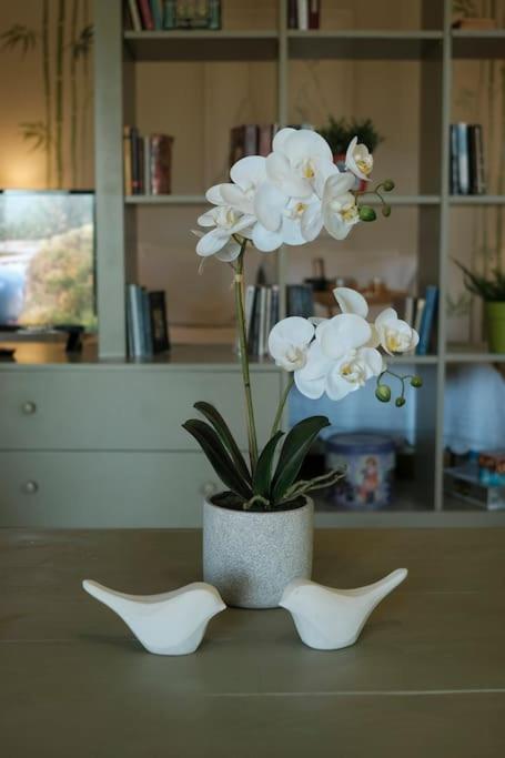 Apartment With Garden In Thessaloniki. Exteriör bild